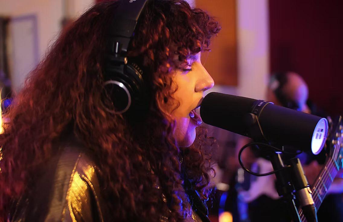 Singer at the microphone